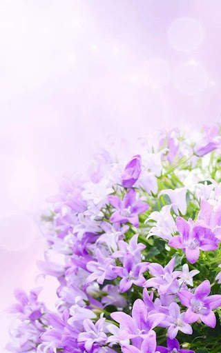 HD Lilac Flower Live Wallpaper screenshot 7