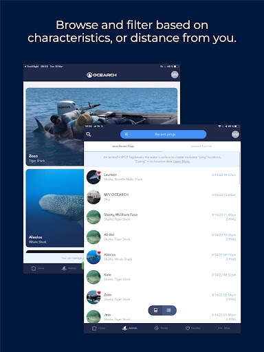 OCEARCH Shark Tracker screenshot 10