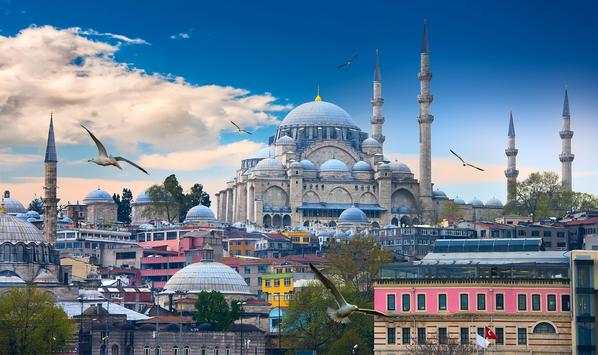 Blue Mosque Live Wallpaper screenshot 11