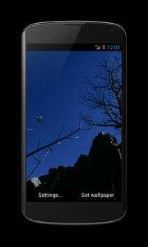 Night Sky Video Live Wallpaper screenshot 2