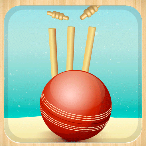 Beach Cricket icon