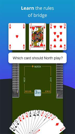 Fun Bridge screenshot 2