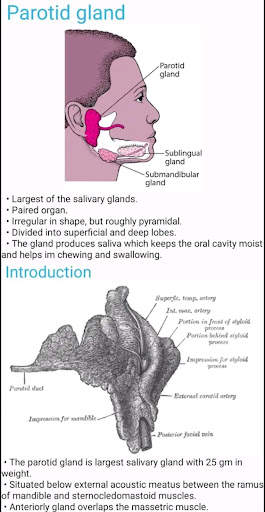 Human Anatomy E Theories screenshot 8