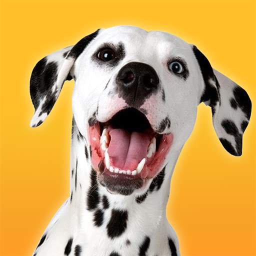 Dalmatian Dog Simulator 1.1.7