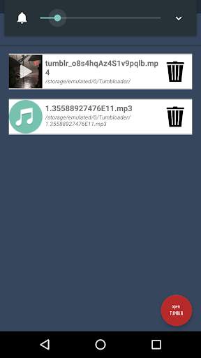 Tumbloader - video downloader for Tumblr screenshot 2