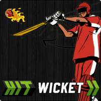 Hit Wicket Cricket 2018 - World Cup League Game logo