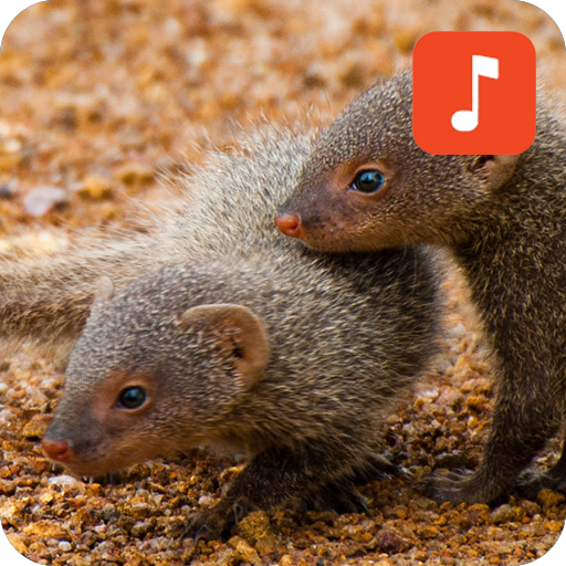 Mongoose Calls иконка