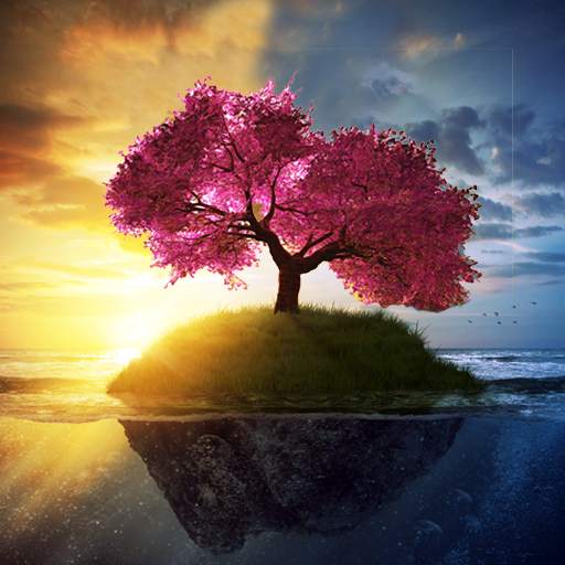 Romantic Live Wallpaper 1.0.6