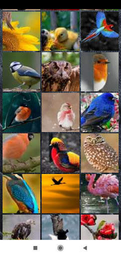 Bird Wallpaper Full HD screenshot 7
