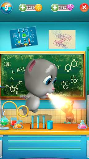 My Talking Bob Cat screenshot 2