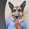 Animal Face Photo Changer icon