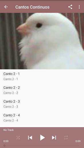 Canario Malinois Canto скриншот 4