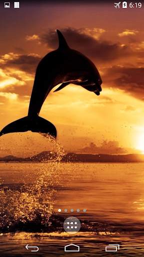 Dolphins 4K Live Wallpaper screenshot 2