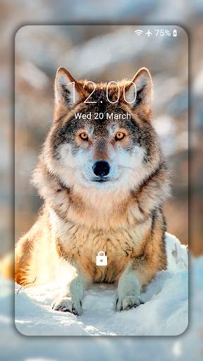 Wolf Wallpaper HD: Backgrounds screenshot 2