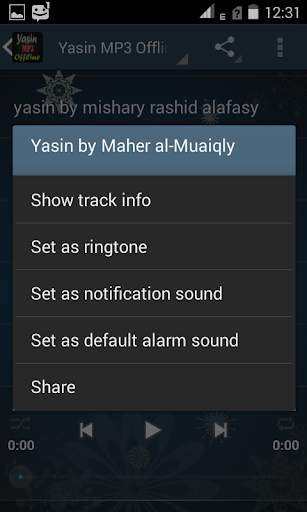 Yasin MP3 Offline By Ten Imam screenshot 4