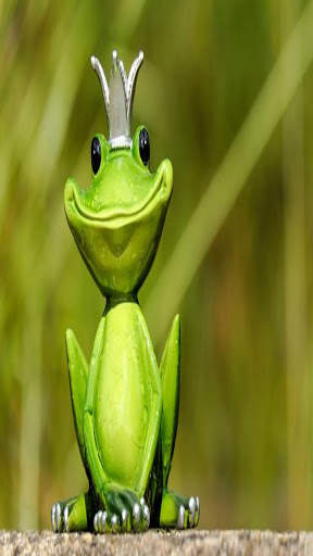 Funny And Hilarious Videos screenshot 1