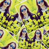 Pic Editor 1.1