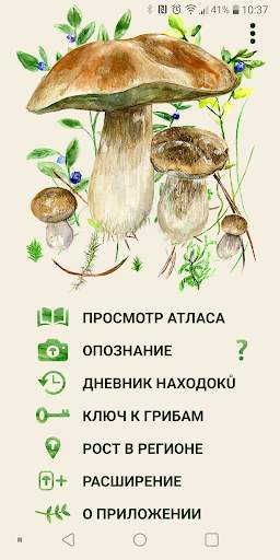 По грибы скриншот 1