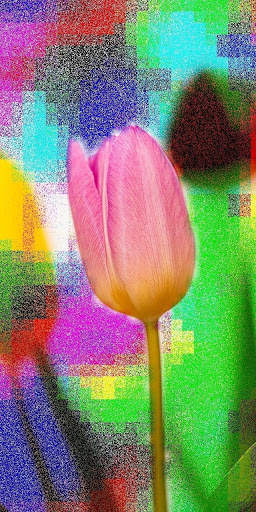 Photo Noise Adder 3 تصوير الشاشة