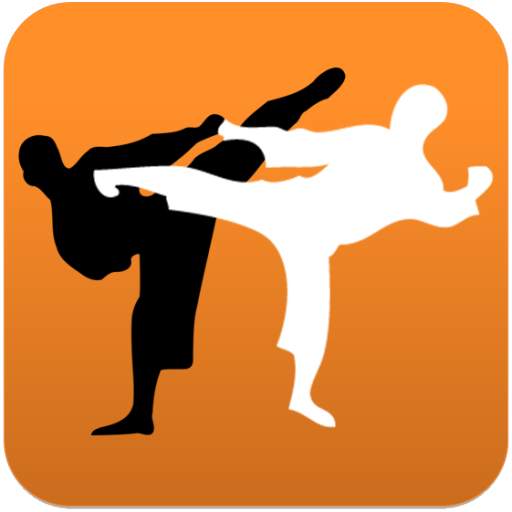 Karate in brief 49