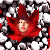 Leaf Photo Frames icon