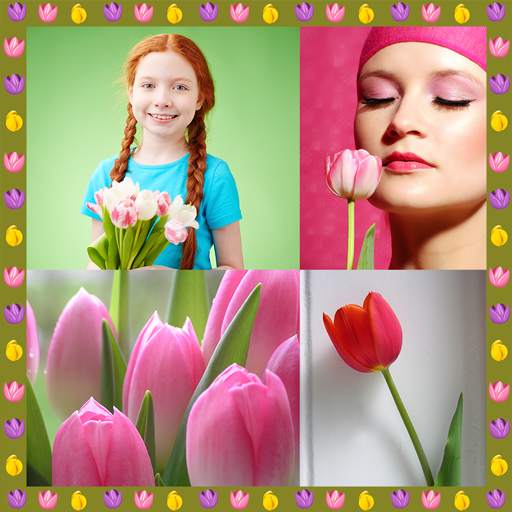 Tulip Photo Collage 1.5