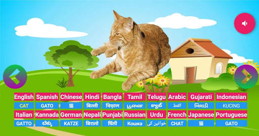 Learning Animals Fruits Vegetables Birds Meaning screenshot 6
