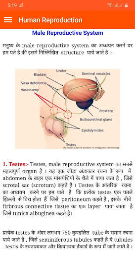 Human Reproduction screenshot 3