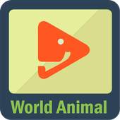 Animal Videos 1.0