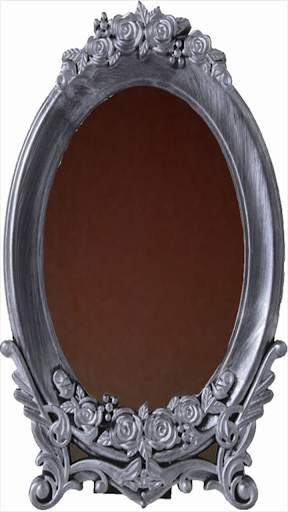 Mirror-Mirror Plus screenshot 4