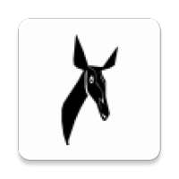 Radio Okapi App