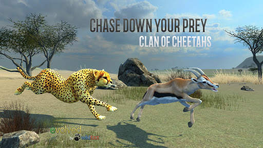 Clan of Cheetahs screenshot 1