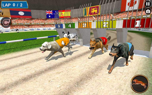 Real Dog Racing Tournament screenshot 6