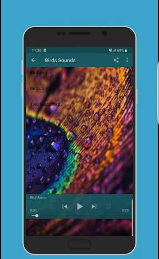 Birds Sounds Ringtones & Wallpapers HD - OFFLINE screenshot 2