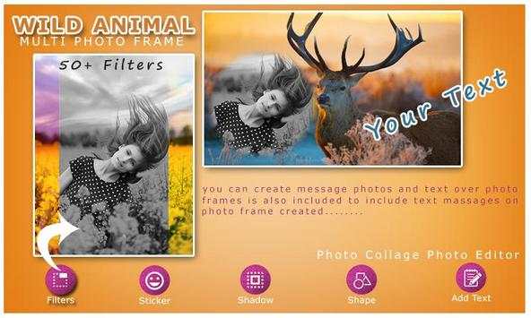 Wild Animal Photo Frame Multi 4 تصوير الشاشة