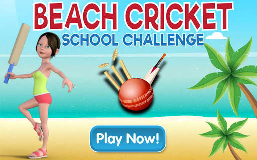 Beach Cricket screenshot 1