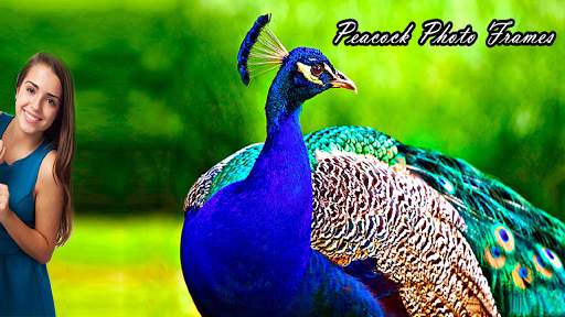 Peacock Photo Frames screenshot 1