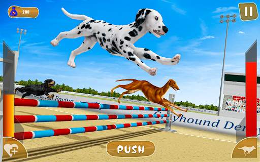 Dog real Racing  Derby Tournament: Dog Race Game screenshot 1