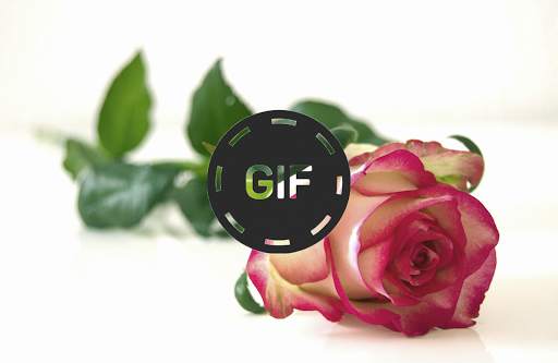 Flowers And Roses 🌷 Animated Images GIF screenshot 4