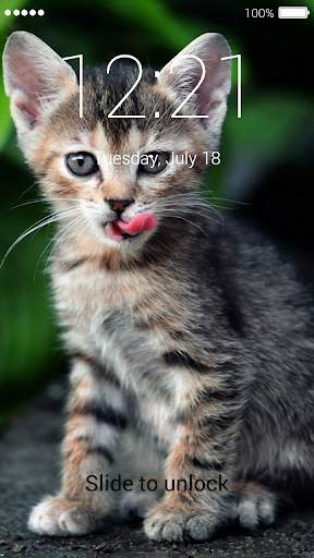Kitten Lock Screen 1 تصوير الشاشة