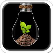 Light Bulb inside the Plant 2.1