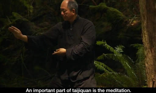 Yang Tai Chi for Beginners 2&3 screenshot 13