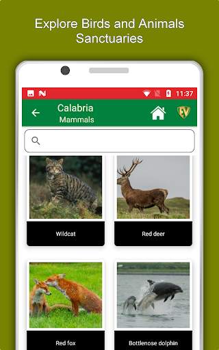 Calabria Travel & Explore, Offline Tourist Guide screenshot 13