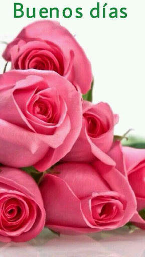 Buenos Días Flores Fotos Feliz Día De San Valentín screenshot 5