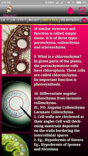 12th Biology screenshot 4