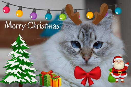 Christmas Photo Stickers 🎄 screenshot 2