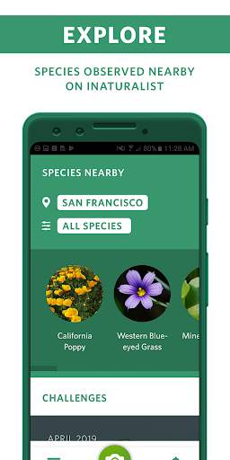 Seek by iNaturalist screenshot 5