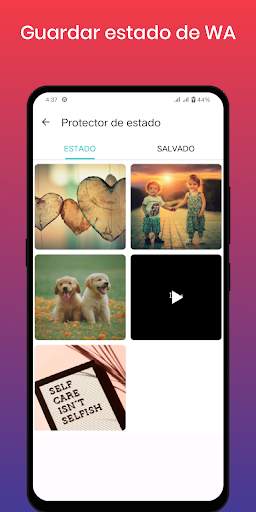 descargador de estado screenshot 7