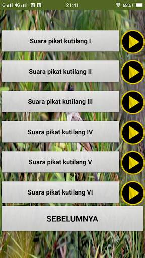 Suara pikat burung kutilang screenshot 2