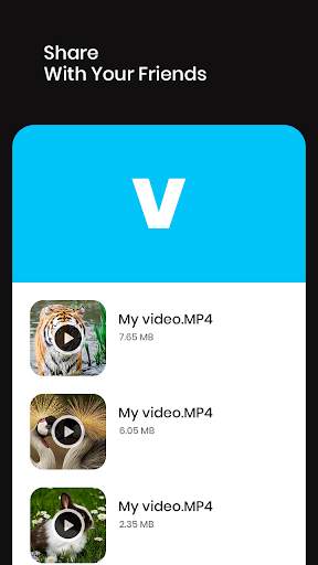 All Video Downloader screenshot 6